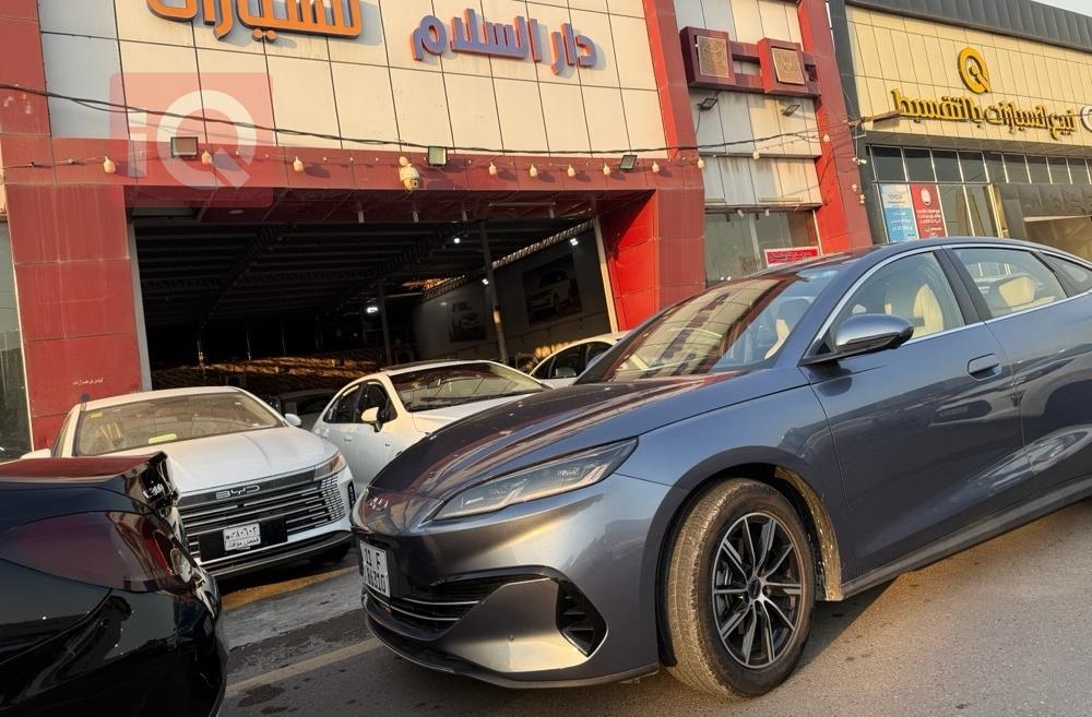 بي واي دي سيل 6